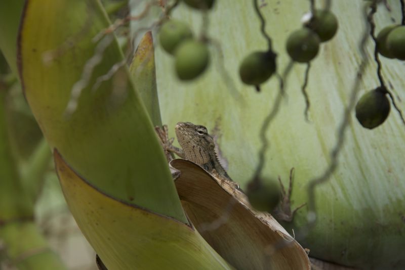 DSC_6543.jpg