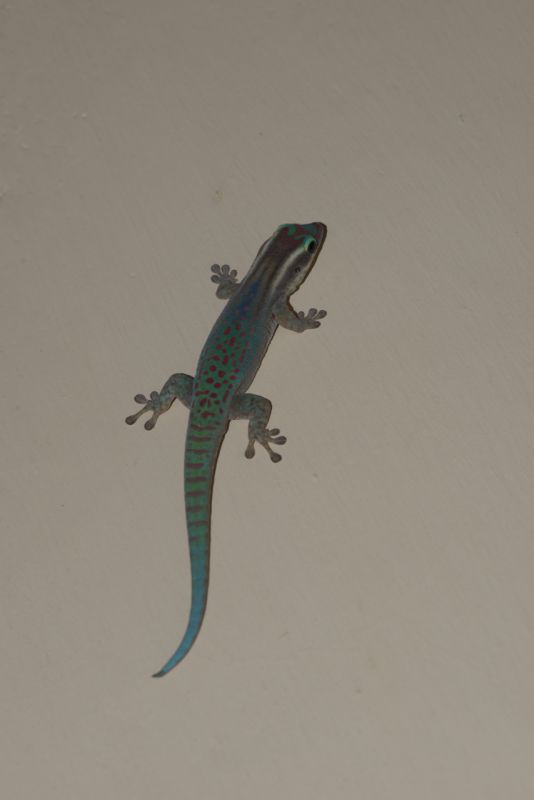 DSC_6561.jpg