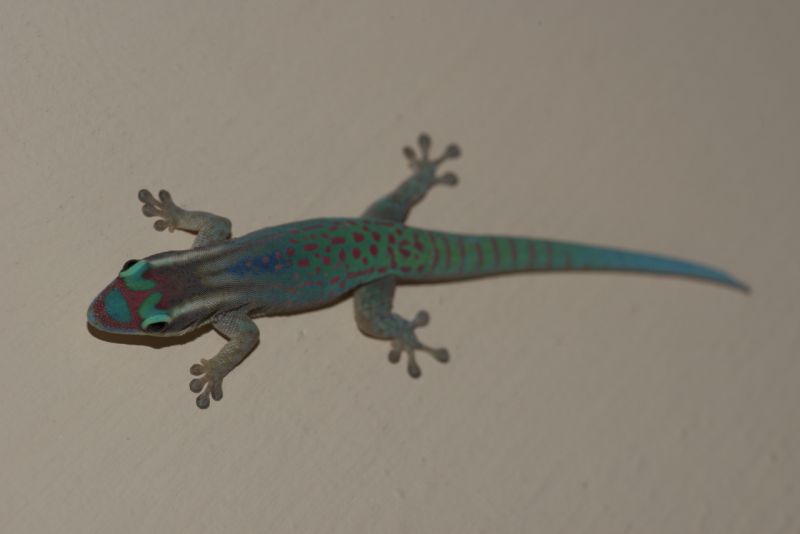 DSC_6574.jpg