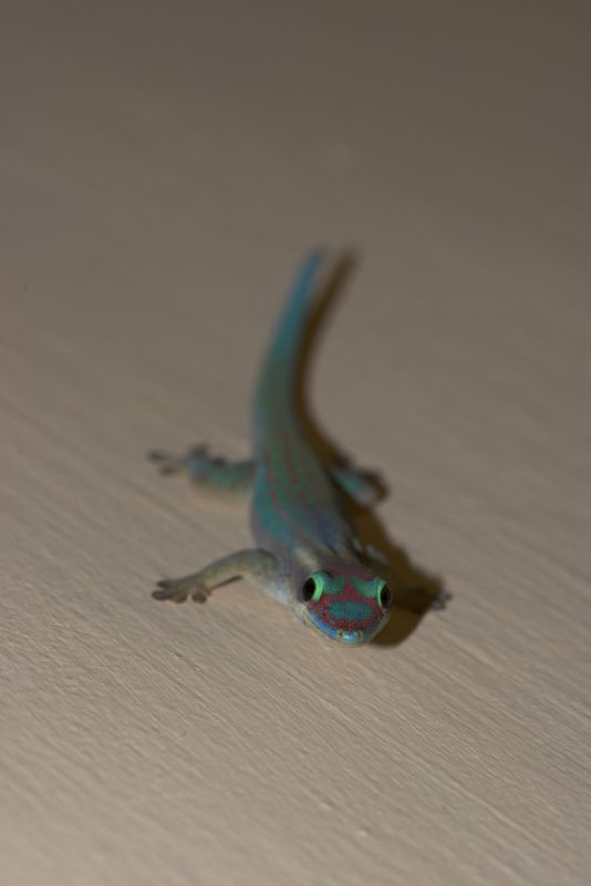 DSC_6576.jpg