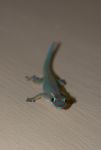 DSC_6576.jpg