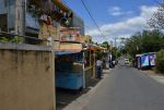Real_Mauritius
