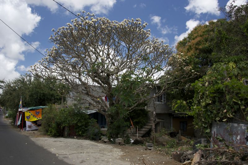 DSC_6062.jpg