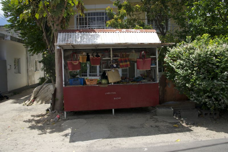 DSC_6065.jpg