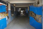 DSC_6176.jpg