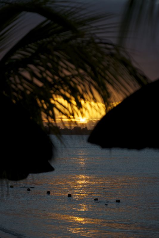 DSC_2939.jpg