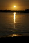 DSC_7805.jpg