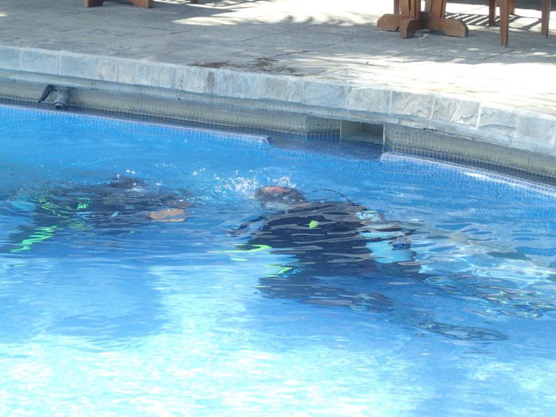 PA150028.jpg