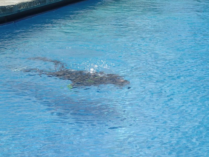 PA150039.jpg