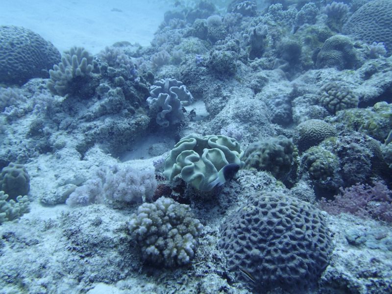 PA190043.jpg
