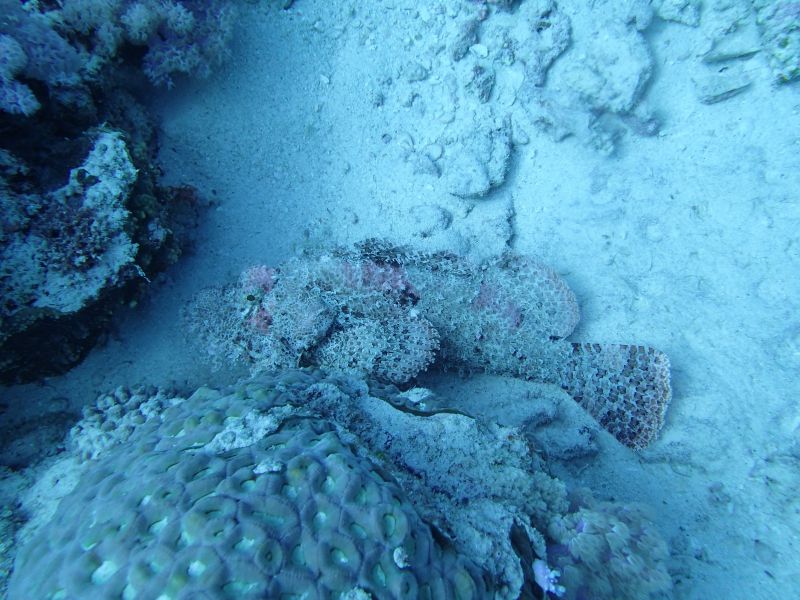 PA190056.jpg