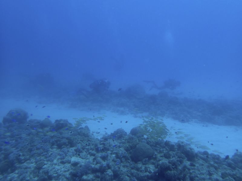PA190083.jpg