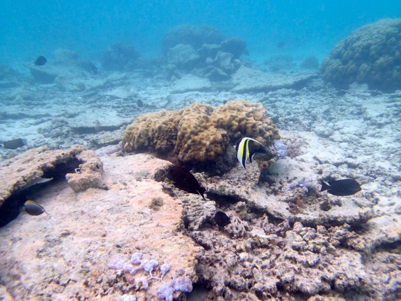 PA030189.jpg