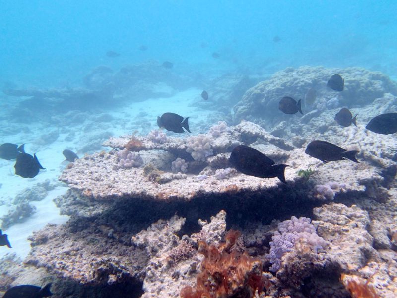 PA030202.jpg