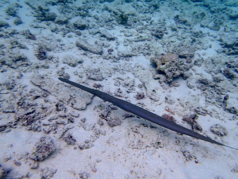 PA030221.jpg