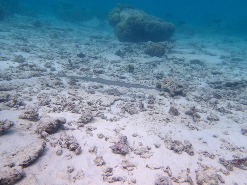 PA030223.jpg