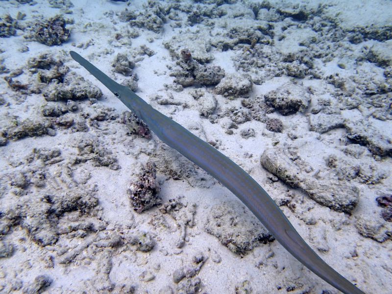 PA030225.jpg