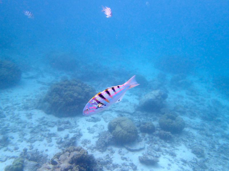 PA030243.jpg