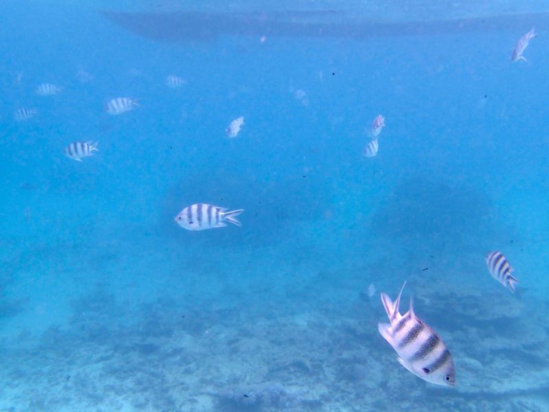 PA030290.jpg