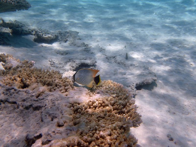 PA090337.jpg