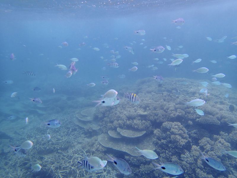 PA110007.jpg