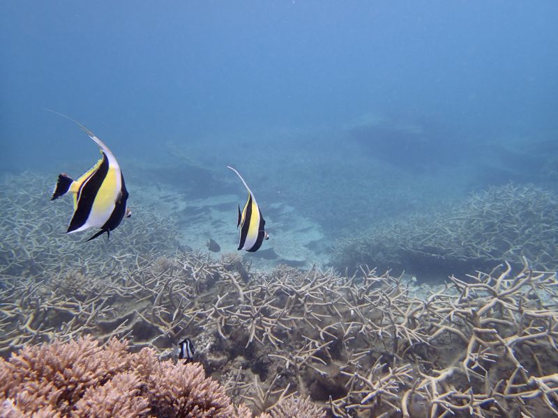 PA110086.jpg
