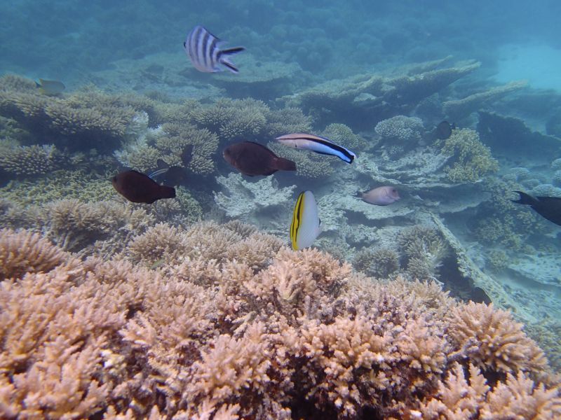 PA110122.jpg