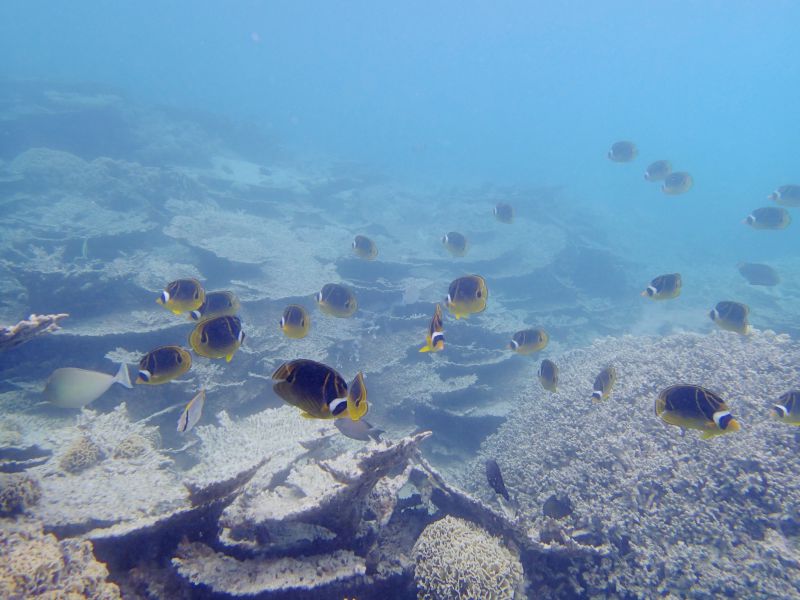 PA110178.jpg