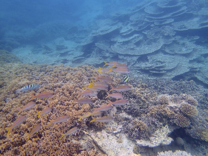 PA110195.jpg