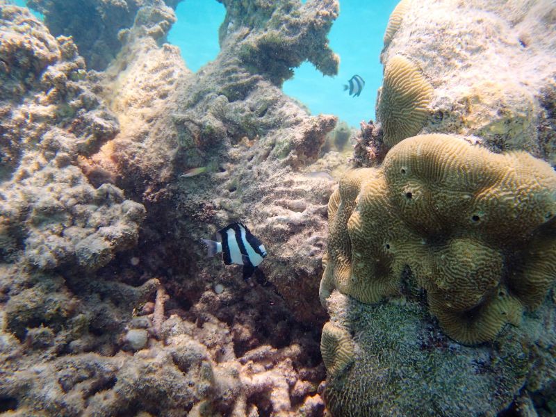 PA120112.jpg