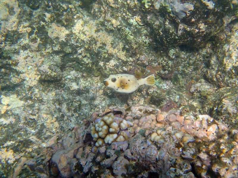 PA210034.jpg