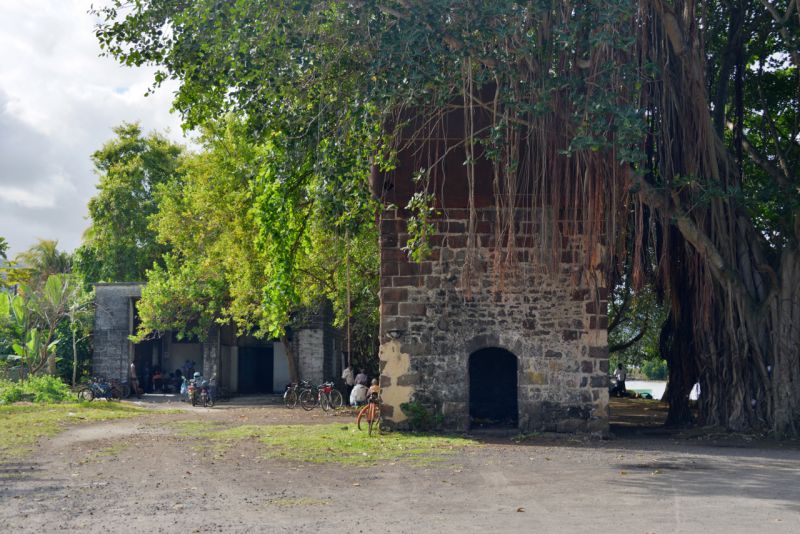DSC_5455.jpg