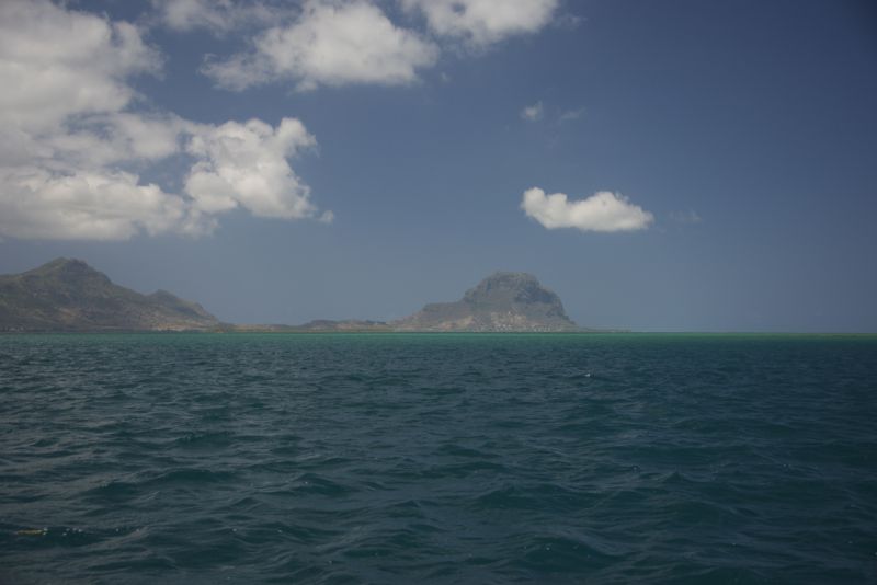 DSC_5785.jpg
