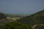 DSC_6263.jpg