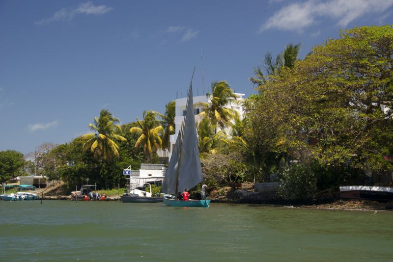DSC_7332.jpg